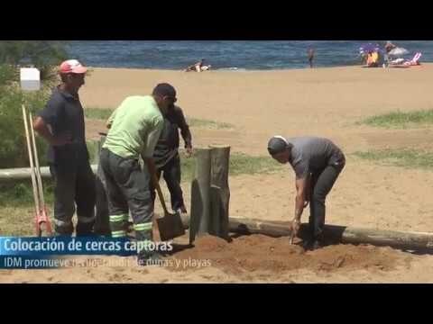 Descubriendo Playas y Dunas Naturales
