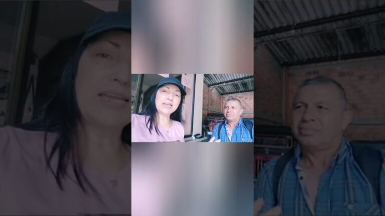 Miradores Naturales: Un Viaje a la Esencia de la Naturaleza