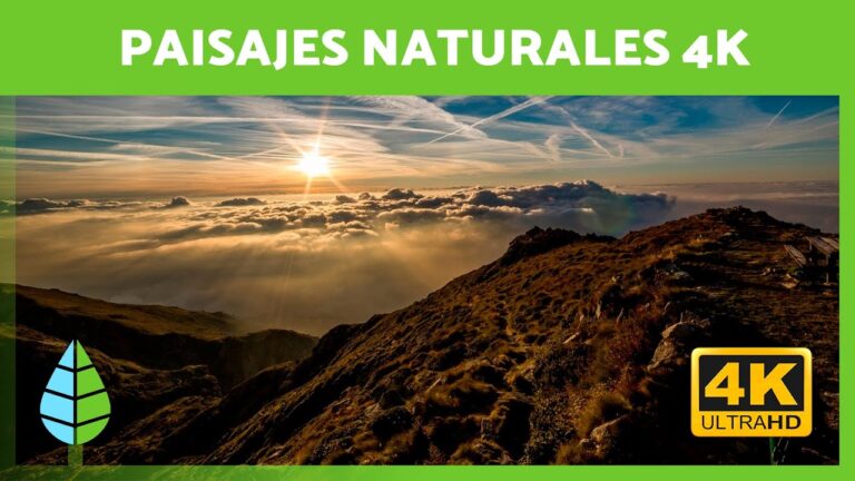 Escapadas a Paisajes Verdes para Relajarse