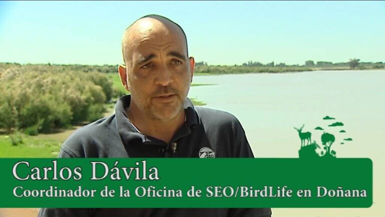 Estrategias Efectivas para la Conservaci&oacute;n de Especies en Do&ntilde;ana