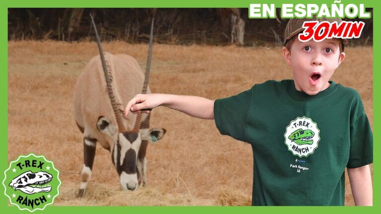 Explorando Aventuras en Zoológicos Temáticos