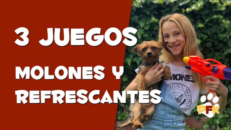 Los Mejores Lugares al Aire Libre para Jugar con tu Perro