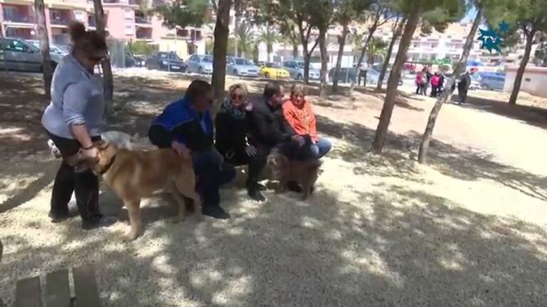 Parques Caninos: Espacios Recreativos para Mascotas