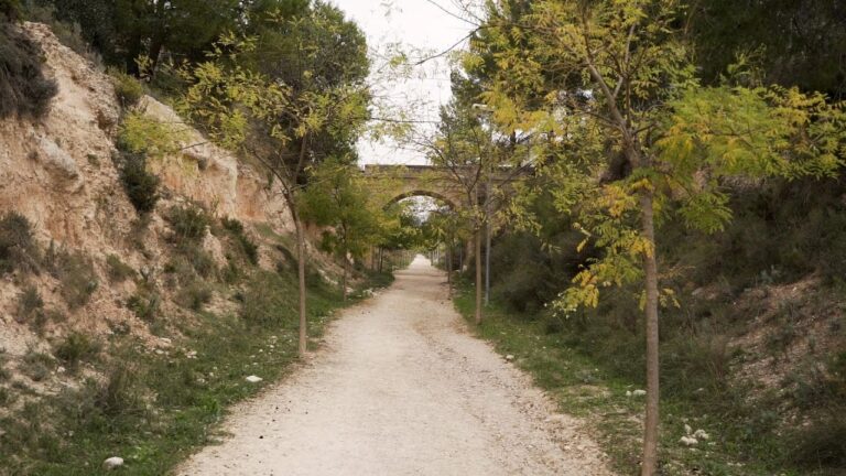 Explorando Recorridos Ecológicos en Vías Verdes