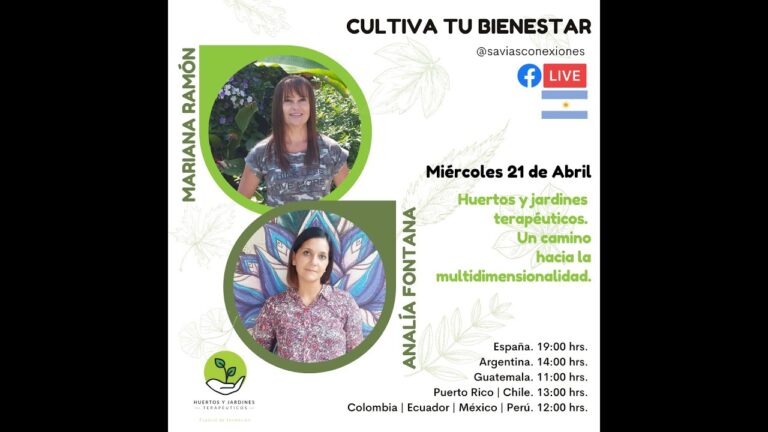 Relajación y Bienestar: El Poder de los Jardines Terapéuticos