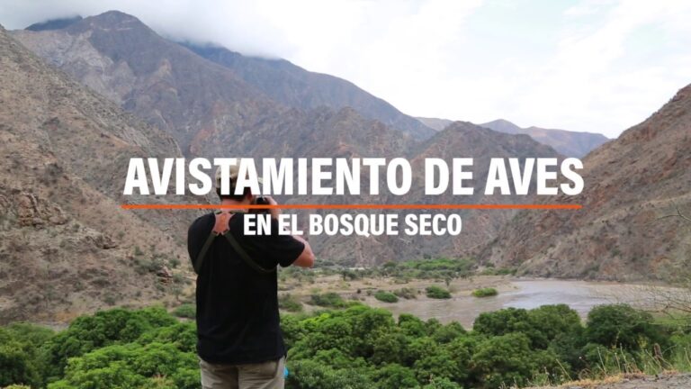 Gu&iacute;a Esencial para el Avistamiento de Aves en Selvas Tropicales