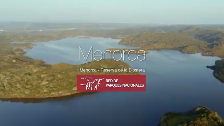 Riqueza Vegetal en Parques Exclusivos: Un Tesoro Natural