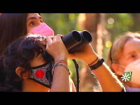 La belleza aviar en parques urbanos