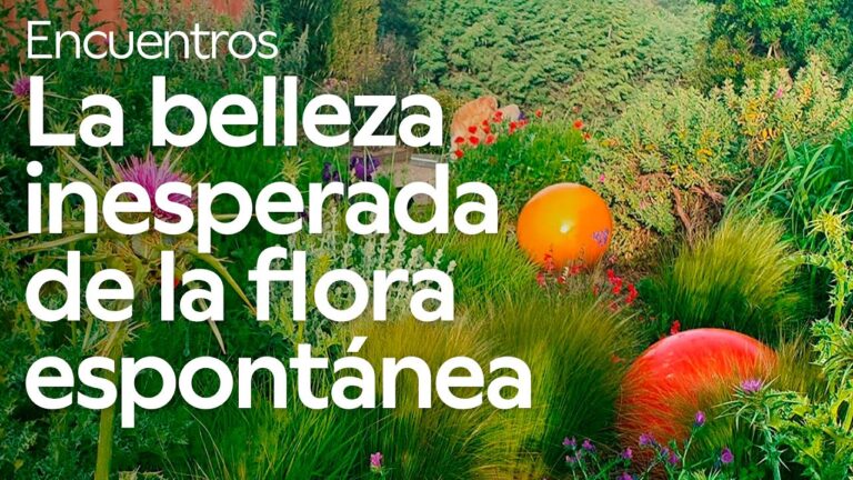 Secretos de Belleza en Parques y Jardines Privados