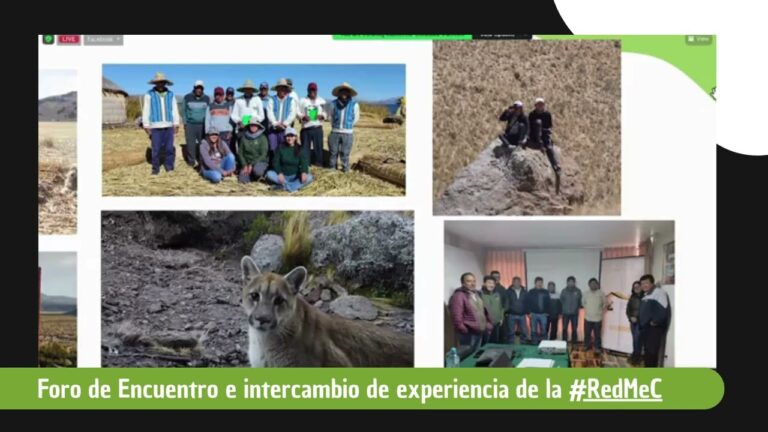 Innovaciones en el Monitoreo de Fauna en &Aacute;reas Protegidas
