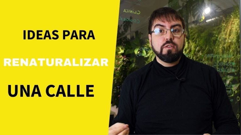 Jardines Verticales: Soluci&oacute;n Efectiva para Mejorar el Aire Urbano