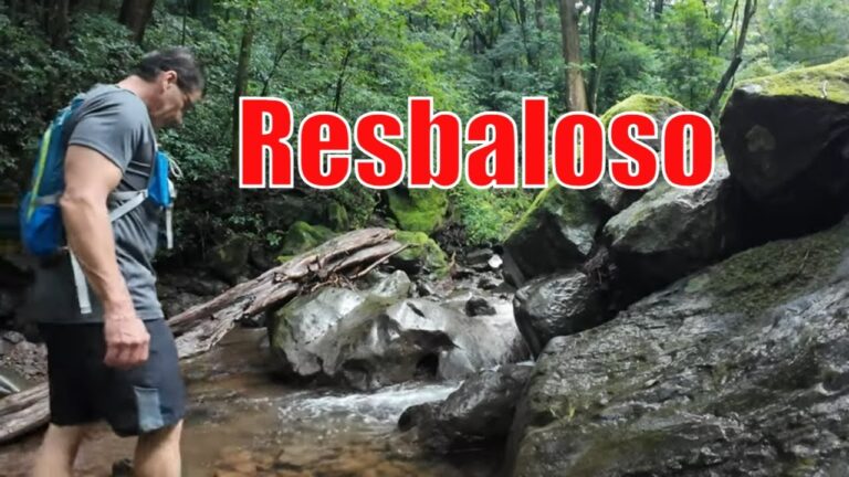 Mejores Zonas de Camping en Senderos Cercanos