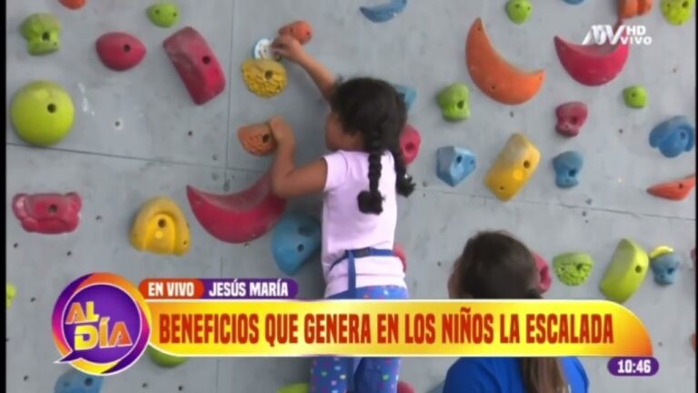 Diversi&oacute;n Vertical: Escalada para Ni&ntilde;os en Muros Especiales