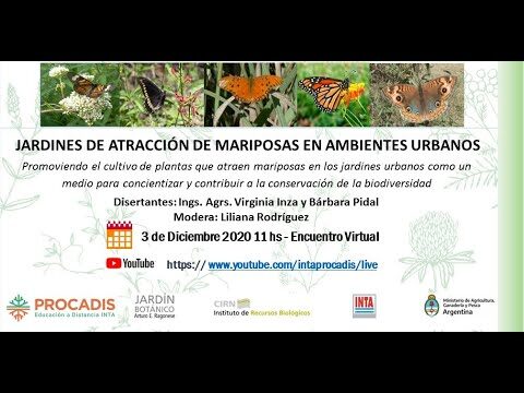 Fomentando la Biodiversidad a Trav&eacute;s de Jardines y Huertos Urbanos