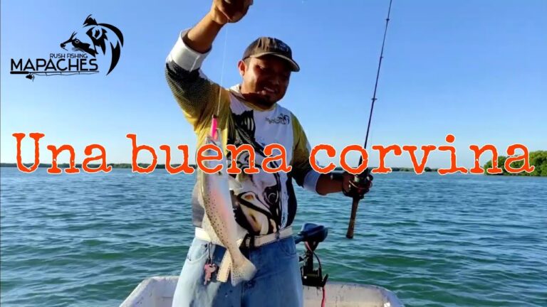 Gu&iacute;a Completa para Explorar Zonas de Pesca Recreativa
