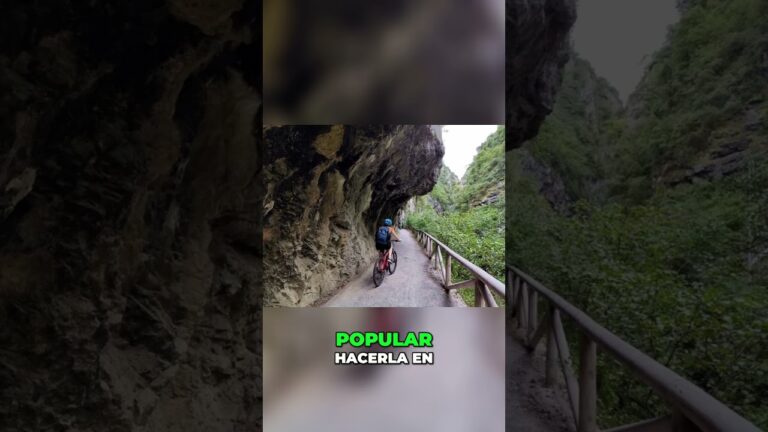 Explorando la Belleza de las Monta&ntilde;as en Rutas