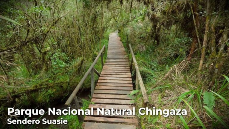 Explorando Rutas Ecol&oacute;gicas en Parques Naturales