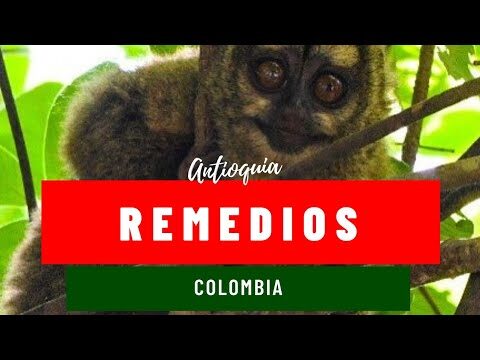 Paz y Belleza: Observaci&oacute;n de Aves en Miradores Naturales