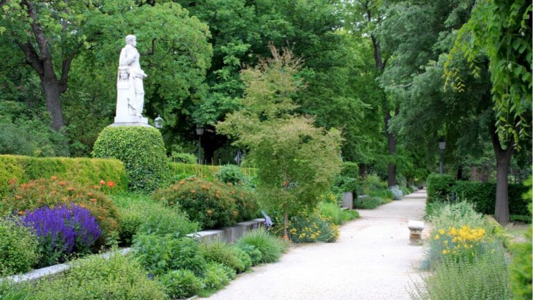 Agua y Naturaleza: La Esencia de los Jardines Botánicos