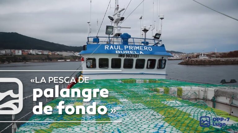 T&eacute;cnicas Efectivas de Pesca en Zonas Mar&iacute;timas