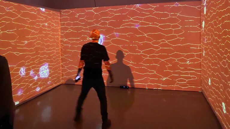 Conexiones Naturales: Mindfulness en el Entorno Natural