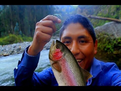 R&iacute;os: Los Mejores Atractivos Tur&iacute;sticos para la Pesca
