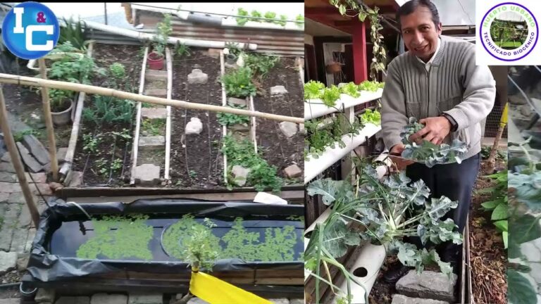 Transformaci&oacute;n de Espacios Verdes en Huertos Comunitarios
