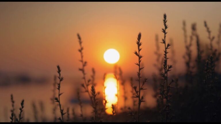 Espacios Naturales Perfectos para Meditar