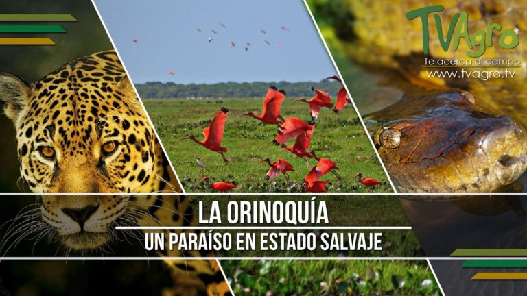 Riqueza Natural en &Aacute;reas Protegidas: Potencial para la Pesca Recreativa