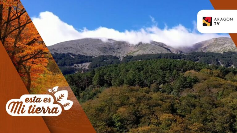 Mejores Rutas de Senderismo en el Parque Nacional Moncayo