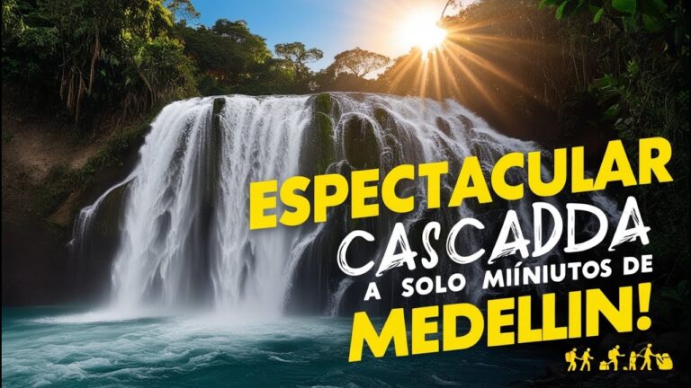 Senderos de monta&ntilde;a en bosques densos