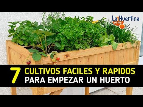 Cultivo de Alimentos Org&aacute;nicos en Jardines Urbanos