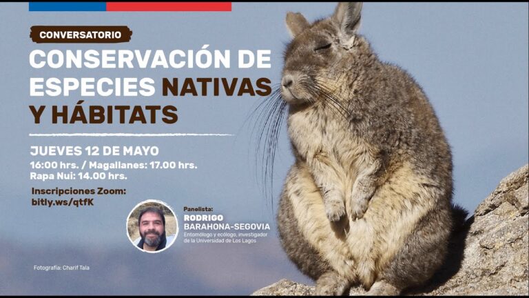 Conservaci&oacute;n de Especies en su H&aacute;bitat Natural: Estrategias Efectivas