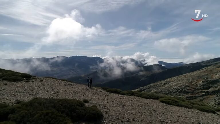 Restaurantes Naturales: Sabores en Parques y Entornos Verdes