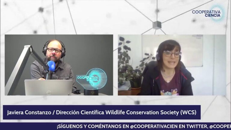 Aves Exóticas: Guía para la Observación en su Hábitat Natural