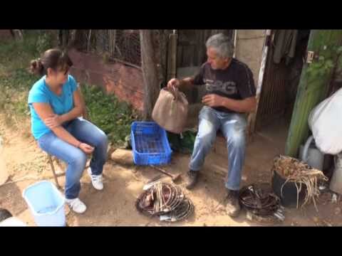 Estrategias para la Pesca Sostenible en Arroyos