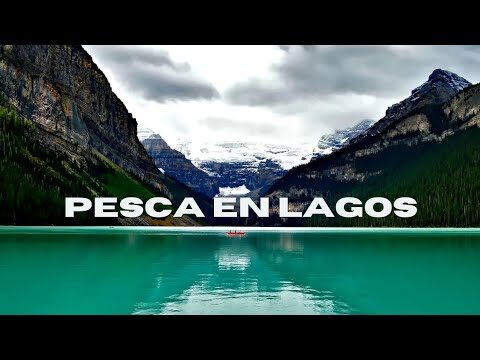 Zonas de Pesca Recreativa en Lagunas: Un Descubrimiento Esencial