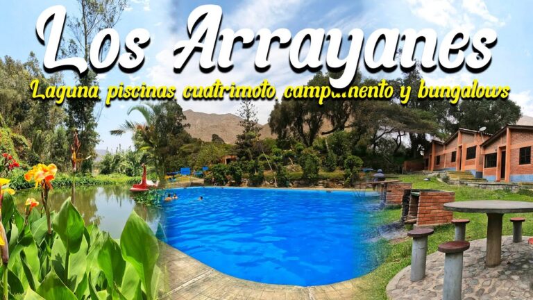 Disfrutar de la Comida en Espacios Recreativos