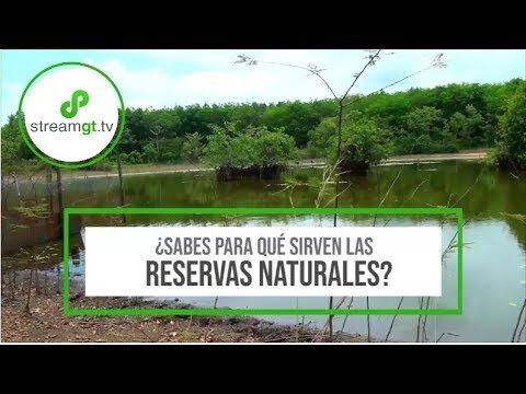 Maravillas Naturales en Reservas Ecol&oacute;gicas: Un Viaje Inolvidable