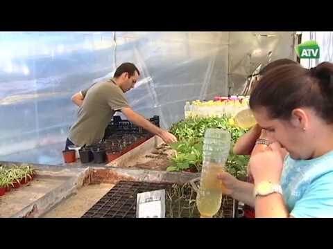 Integraci&oacute;n Art&iacute;stica en Parques: Un Viaje Creativo