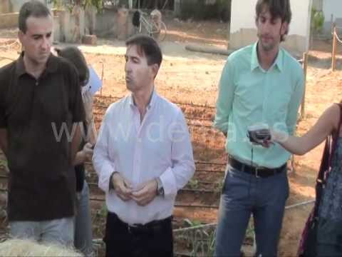 Impulso de Jardines y Huertos Urbanos en Ciudades