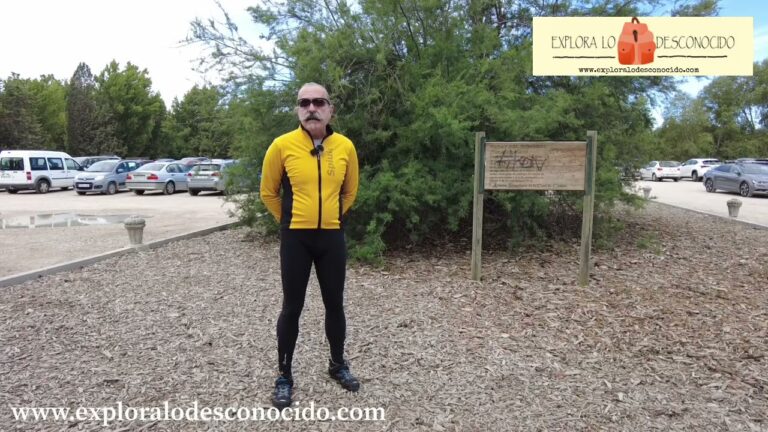 Historia y Transformaci&oacute;n de los Parques Urbanos