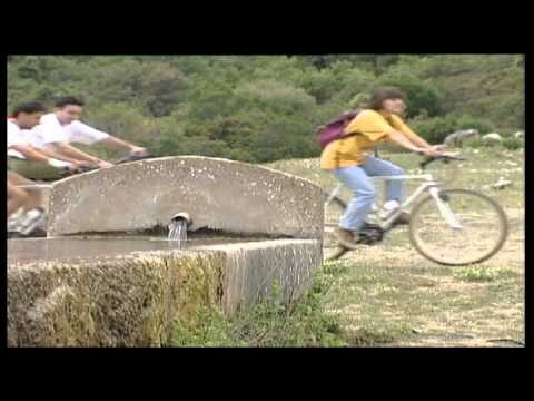 Explorando Aventuras de Senderismo en la Naturaleza
