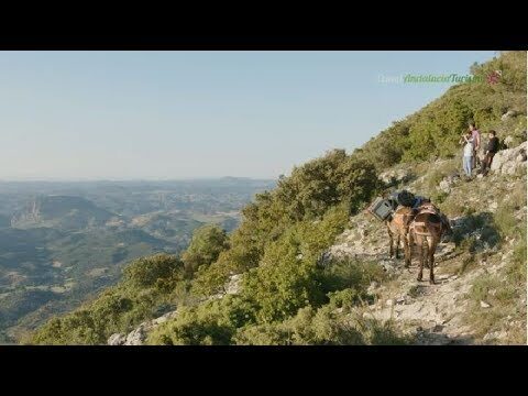 Avistamiento de Aves en la Sierra de Grazalema: Un Para&iacute;so Natural