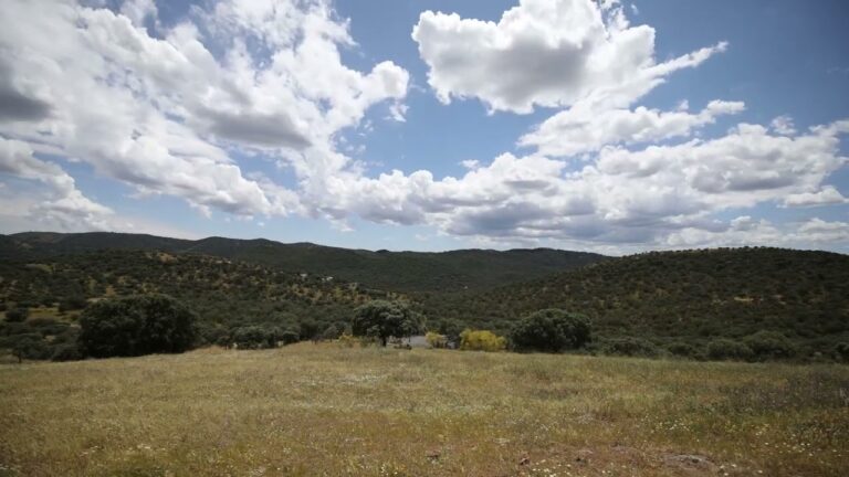 Los Mejores Miradores para Contemplar Paisajes
