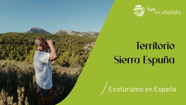 Explorando la Flora y Fauna en Rutas de Bicicleta en Parques