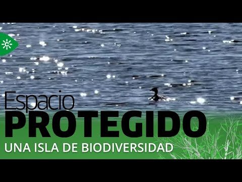 Turismo Sostenible en Reservas de Caza: Conservaci&oacute;n y Diversidad Animal