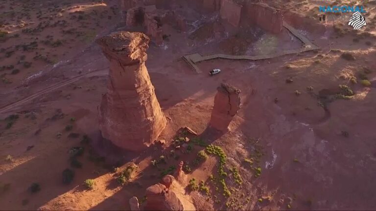 Rutas en Bici para Conectar con la Naturaleza en Parques