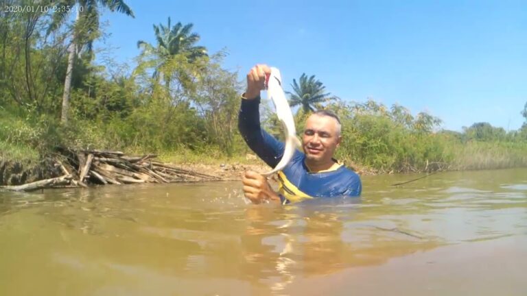 Encanto de la Pesca en Lago: Una Experiencia Inigualable