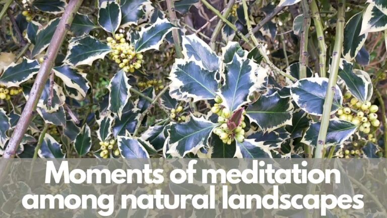 Espacios Naturales Urbanos para la Meditaci&oacute;n